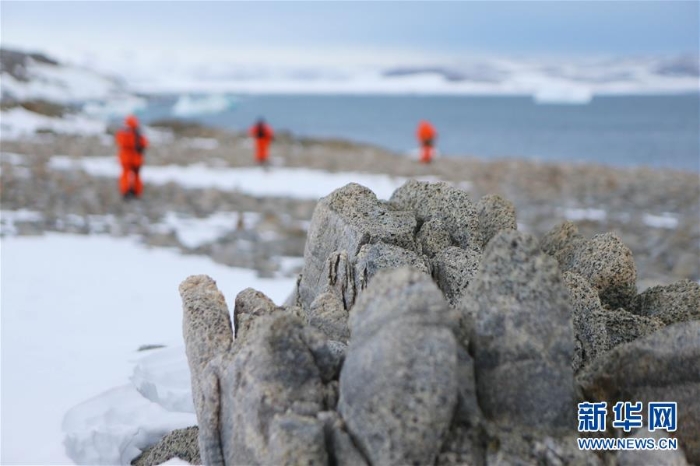 （第33次南极科考·图文互动）（4）记者手记：亲历难言岛　难舍罗斯海