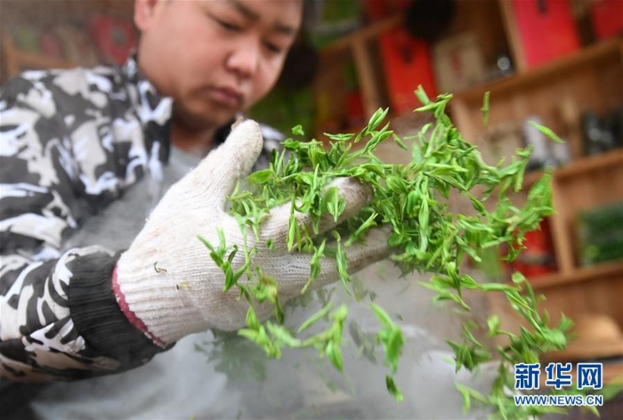 （XHDW·图文互动）（4）“茶叶＋旅游”助中国侗族民众脱贫增收