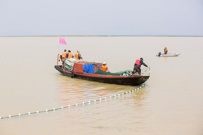 3月16日，工作人员在鄱阳湖都昌水域围捕江豚。