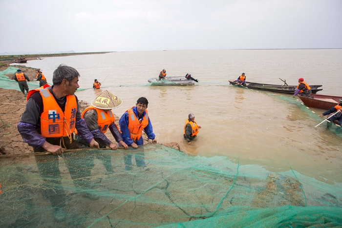 3月16日，工作人员在鄱阳湖都昌水域围捕江豚。