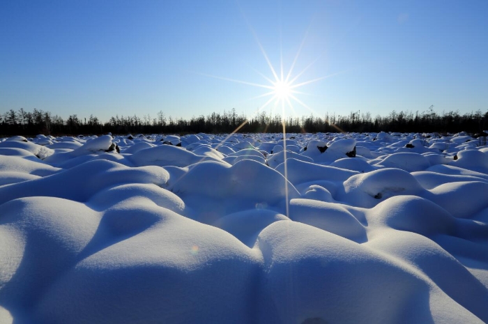 暮冬的雪，显得很柔，很白，与朝阳辉映，演绎着冬日的赞歌