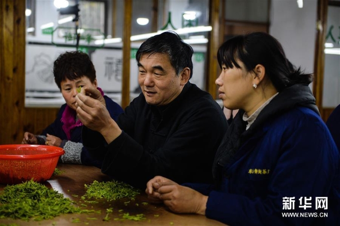 （图片故事）（5）碧螺春制茶人：传承古法 坚守品质