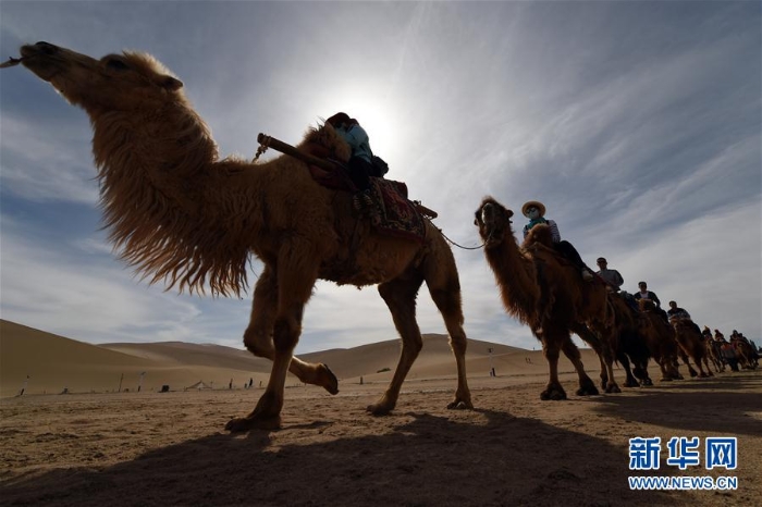 （一带一路·好风光）（7）敦煌鸣沙山上体验大漠驼队