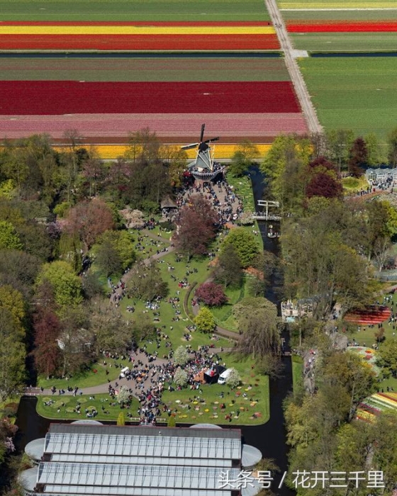从空中鸟瞰荷兰的美丽空拍