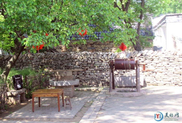 春游倪园村802 春游倪园村802