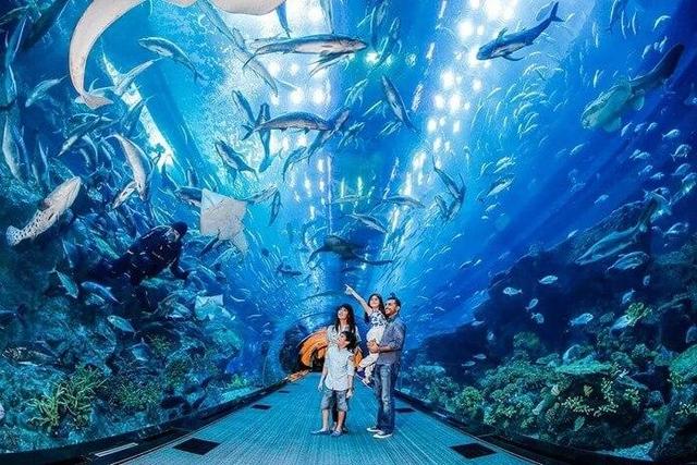 世界十大水族馆,最大的在中国,你一定想去看看