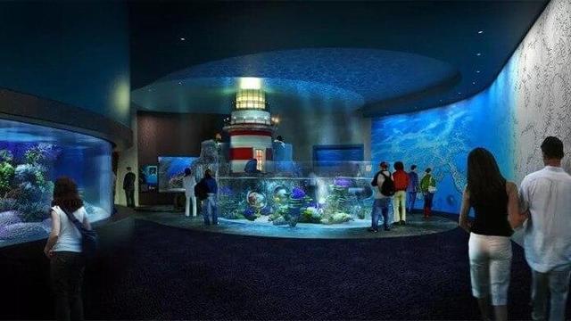 世界十大水族馆,最大的在中国,你一定想去看看