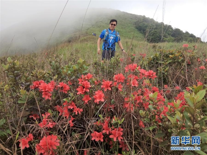 （香港回归二十周年·香港之美·图文互动）（3）清幽寻胜 道外虑恬——那些年，我们一起走过的香港行山径