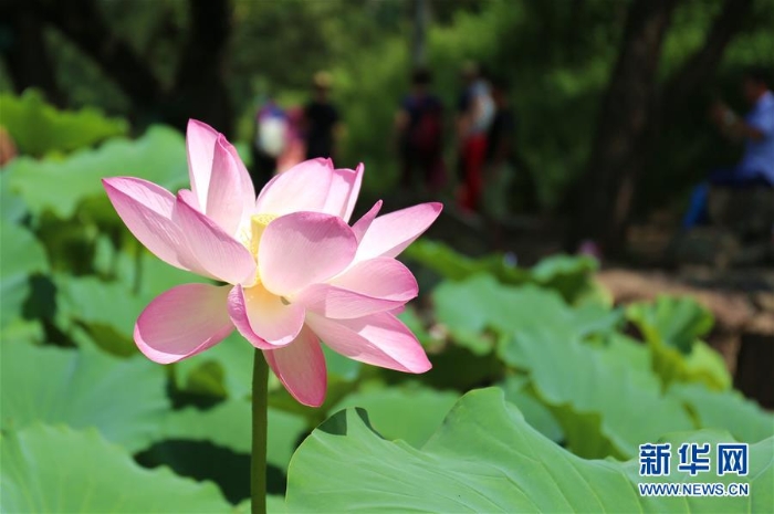 #（美丽中国）（3）雨后避暑山庄美如画