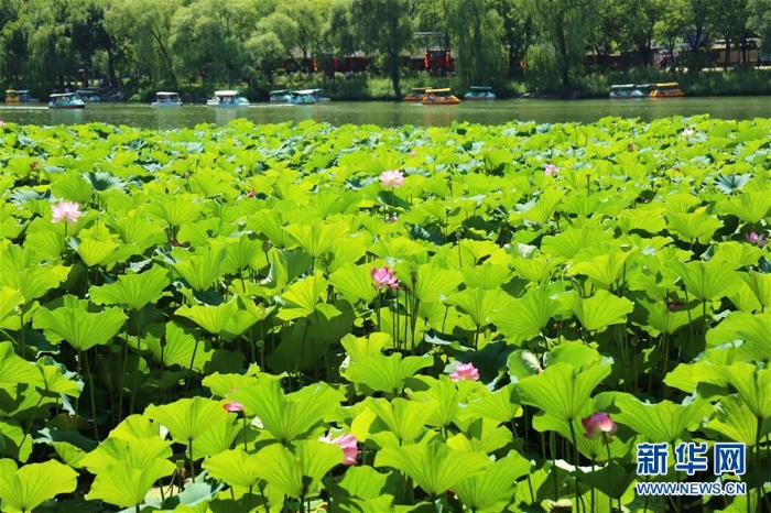 #（美丽中国）（4）雨后避暑山庄美如画