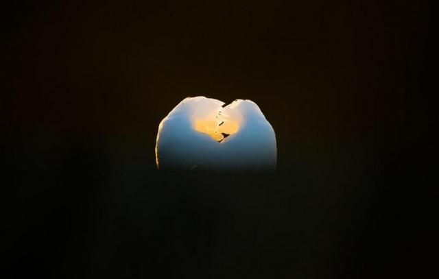 《三峰摄影》清丽自由的天使：相机里定格鸟儿最美的瞬间