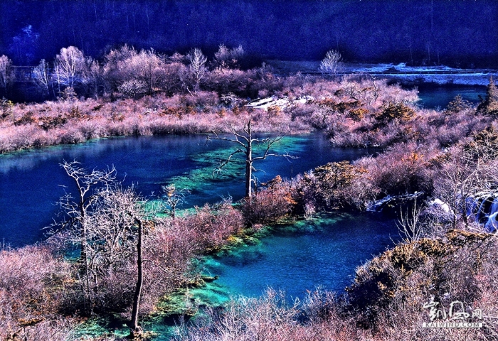 02-九寨沟的水是九寨沟的灵魂，呈蓝绿色晶莹剔透，这与海子的成因有关，海子是冰川时期的落石等自然因素形成的堰塞湖，进而由于湖水中的碳酸盐沉积形成了钙华景观。