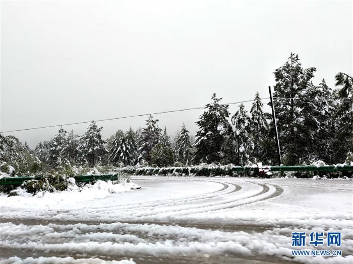 #（环境）（2）黑龙江漠河八月飞雪