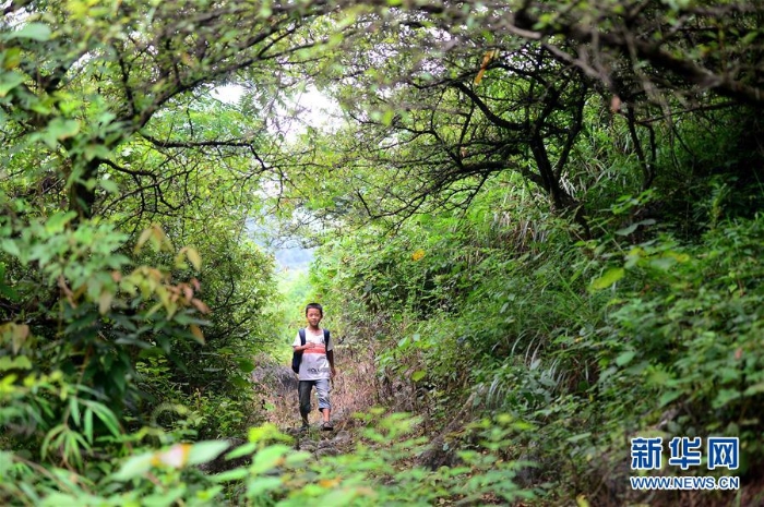 #（图片故事）（2）大山深深，挡不住小小读书郎的求学梦