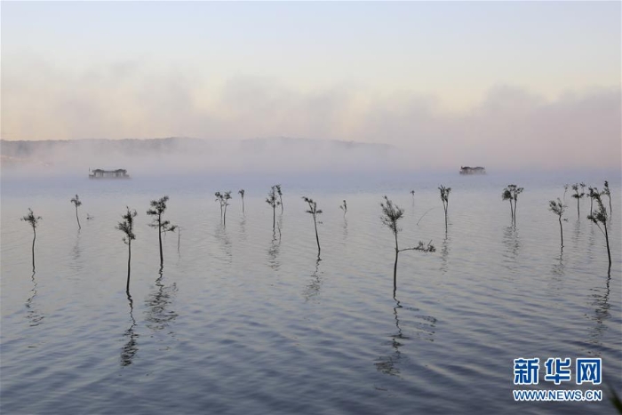 #（环境）（5）江苏盱眙：云雾缭绕天泉湖