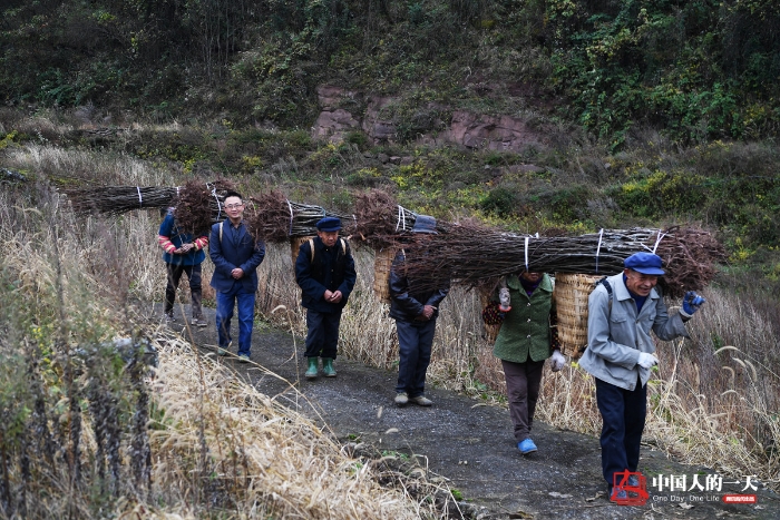 中国人的一天中国人的一天2895期：他辞去大城市的工作回乡带领村民脱贫致富