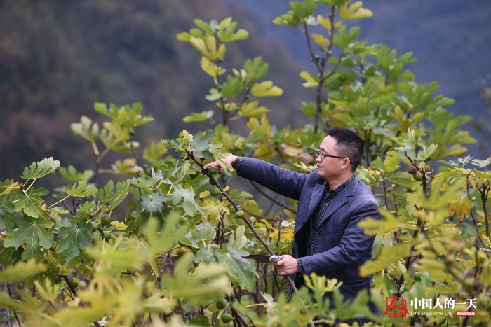 中国人的一天中国人的一天2895期：他辞去大城市的工作回乡带领村民脱贫致富