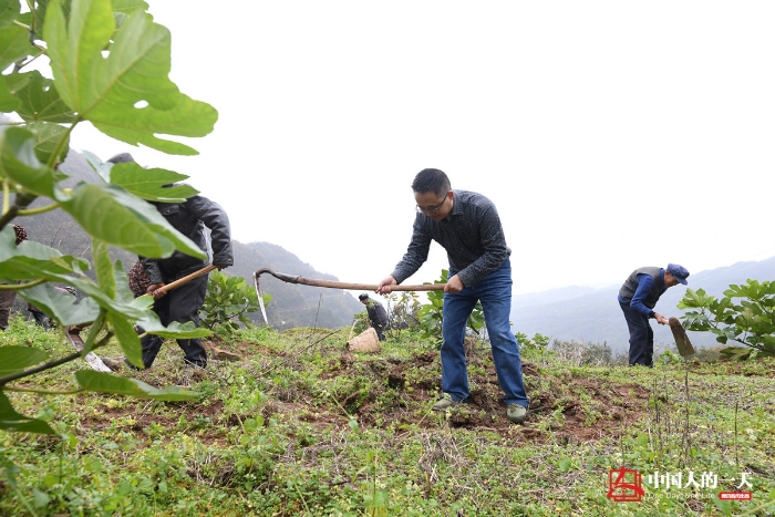 中国人的一天中国人的一天2895期：他辞去大城市的工作回乡带领村民脱贫致富