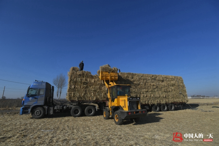 中国人的一天中国人的一天2901期：冬日里的秸秆捆装者 草垛旁吃饭喝带冰碴的水