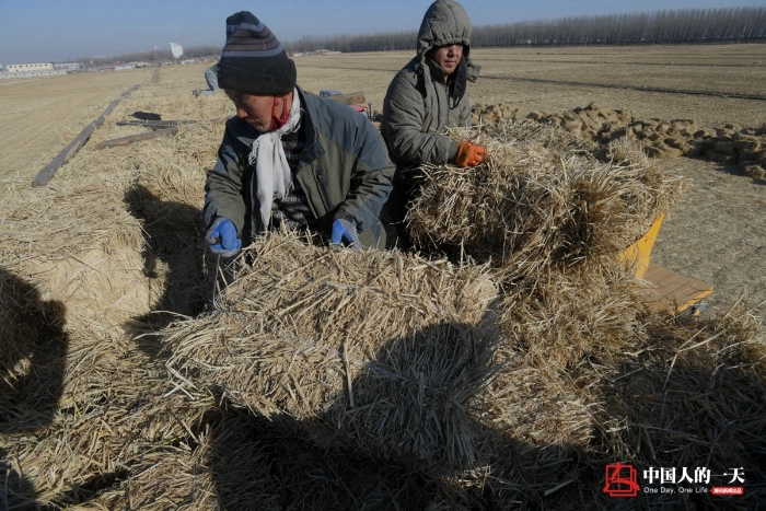 中国人的一天中国人的一天2901期：冬日里的秸秆捆装者 草垛旁吃饭喝带冰碴的水