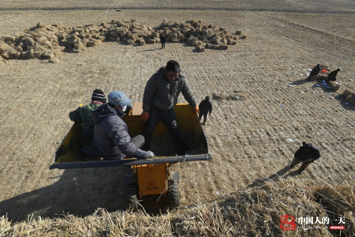 中国人的一天中国人的一天2901期：冬日里的秸秆捆装者 草垛旁吃饭喝带冰碴的水