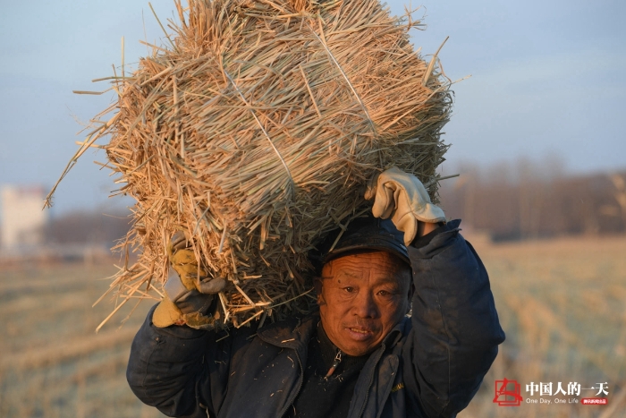 中国人的一天中国人的一天2901期：冬日里的秸秆捆装者 草垛旁吃饭喝带冰碴的水