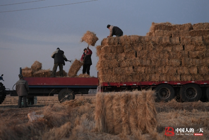 中国人的一天中国人的一天2901期：冬日里的秸秆捆装者 草垛旁吃饭喝带冰碴的水