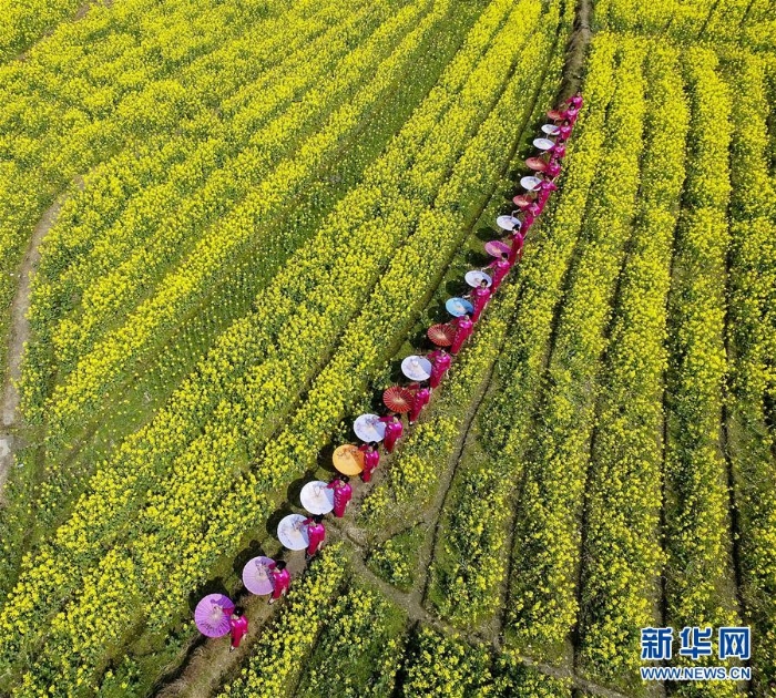 （年终报道）（4）天空之眼瞰我们