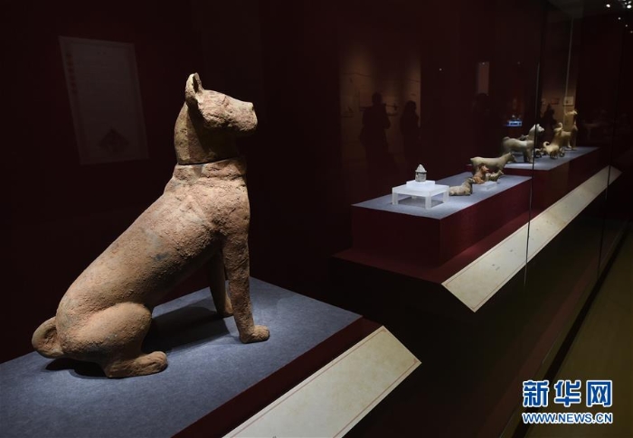 （文化）（2）南京博物院举办“幸运狗”院藏犬文物展