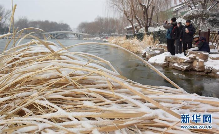 （环境）（7）雪后大明湖美如画