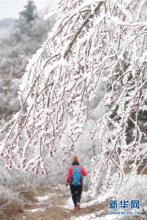 #（环境）（2）贵阳云雾山雪景醉游人