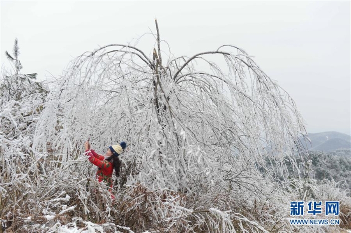 #（环境）（4）贵阳云雾山雪景醉游人