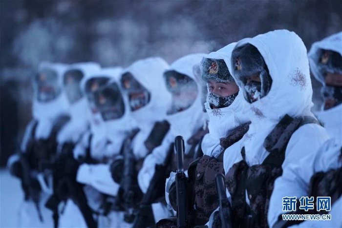 （新春走基层·图文互动）（4）北极哨兵：挺立在风雪中的“北极杨”