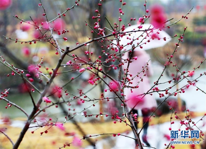 #（社会）（5）雨水润花开