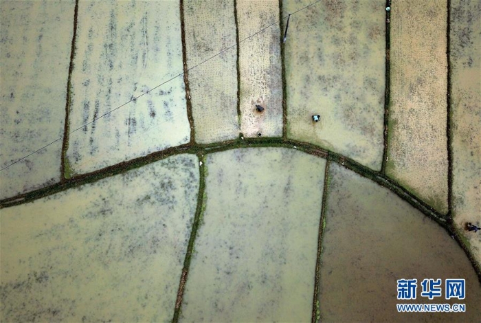 （经济）（3）瑶乡春耕忙