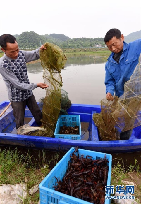 （社会）（3）精准扶贫 产业先行　