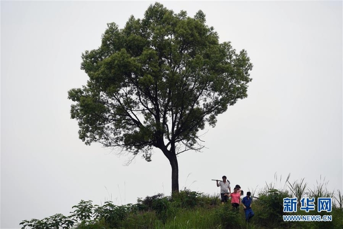 #（图片故事）（1）家门口实现致富梦