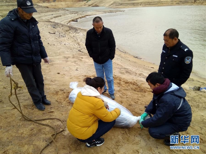 （图片故事）（7）鄱阳湖上的江豚“保镖”
