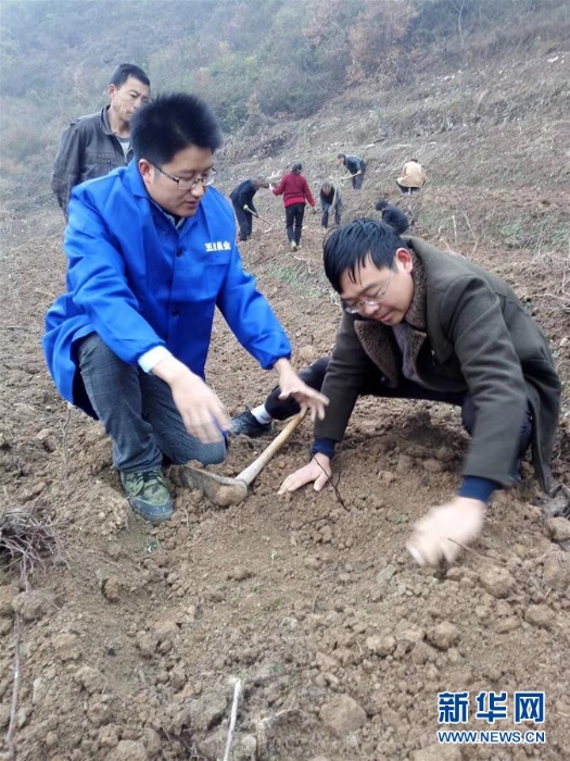 （新时代奋斗者·图文互动）（2）翁新强：弃高薪重回大山 兴产业领人脱贫