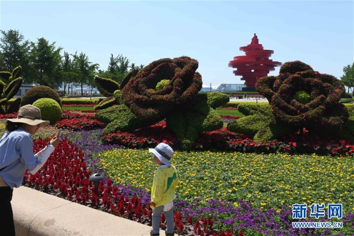 （上合青岛峰会）（6）青岛：花满岛城待宾朋