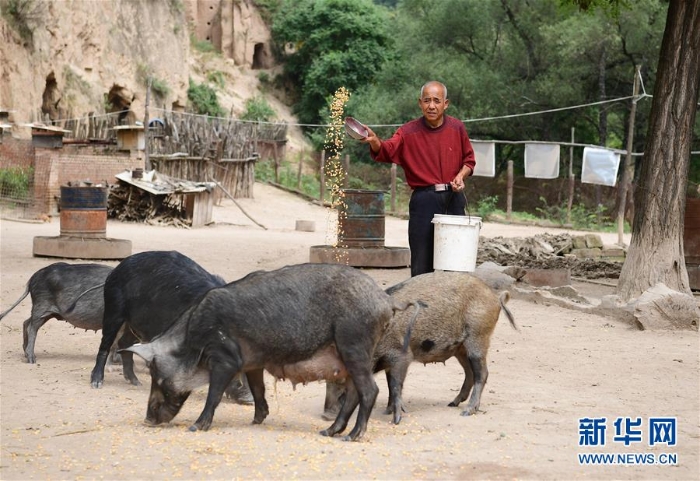 （壮阔东方潮 奋进新时代——庆祝改革开放40年）（11）退耕还林20年 延安大地谱新篇