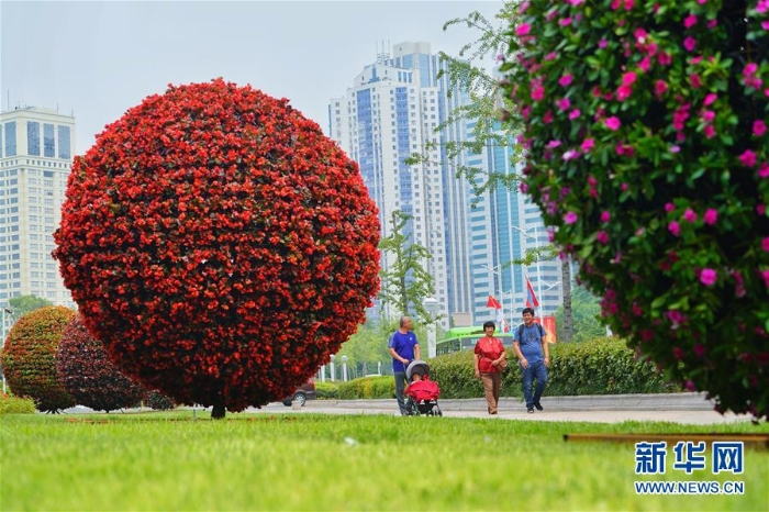 （上合青岛峰会）（4）青岛欢迎你，上合