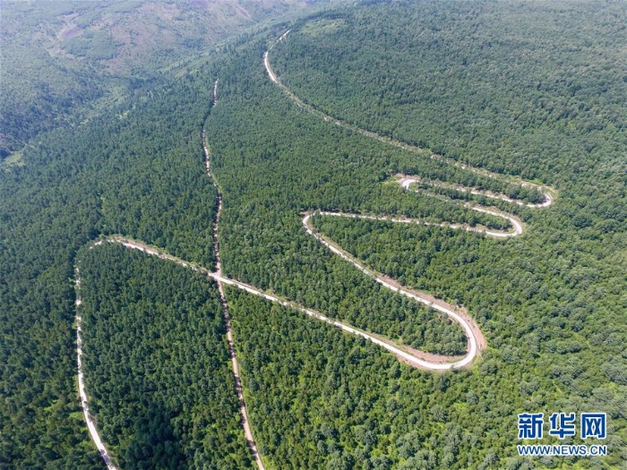 （美丽中国）（8）阿尔山夏日美景