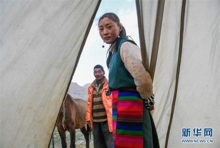 （图文互动）（10）西藏：冈仁波齐山下的牧民致富路