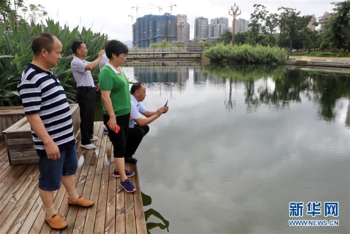 （环境）（1）河长履职护碧水