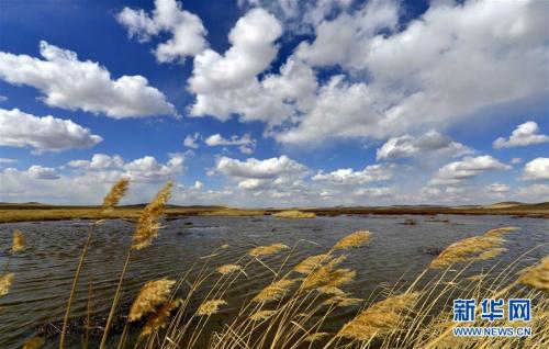 　　这是内蒙古锡林郭勒乌拉盖管理区哈拉盖图农牧场的草原湖泊景色(2013年4月23日摄)。新华社记者 任军川 摄
