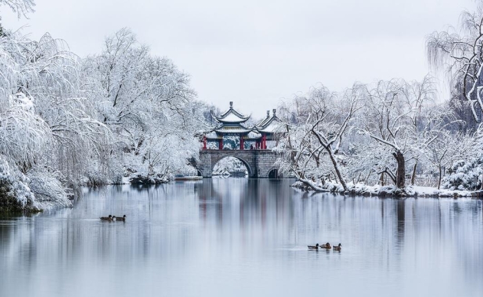 QQ截图20190219114429