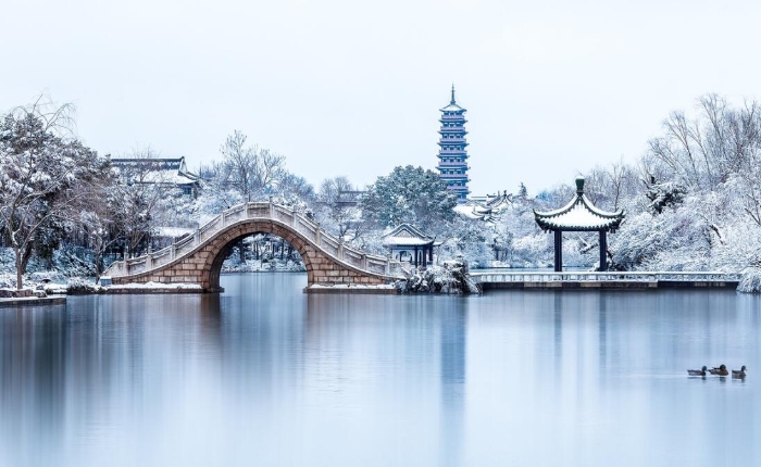 QQ截图20190219114447