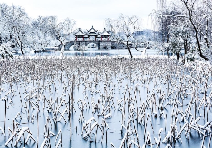 QQ截图20190219114508