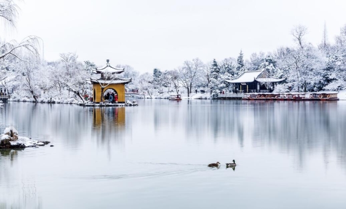 QQ截图20190219114515